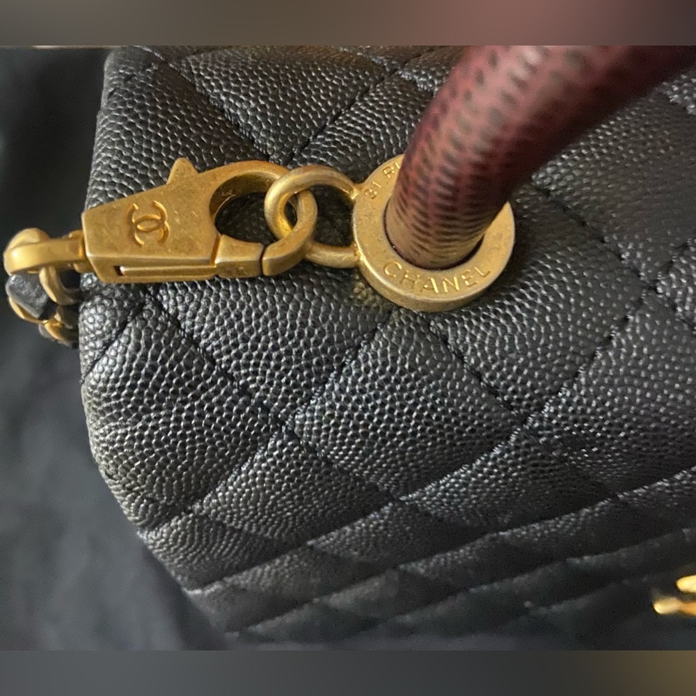 CHANEL Python-Trimmed Medium Coco Handle Bag - Picture 6 of 10
